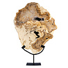 Versteend hout schijf gepolijst op standaard 43,3 x 36 x 2,3 cm | 5,3 kg