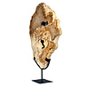 Versteend hout schijf gepolijst op standaard 43,3 x 36 x 2,3 cm | 5,3 kg