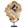 Versteend hout schijf gepolijst op standaard 43,3 x 36 x 2,3 cm | 5,3 kg