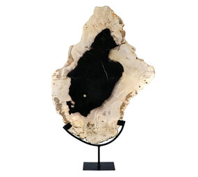 Versteend hout schijf gepolijst op standaard 50 x 38,6 x 2,2 cm | 5,55 kg