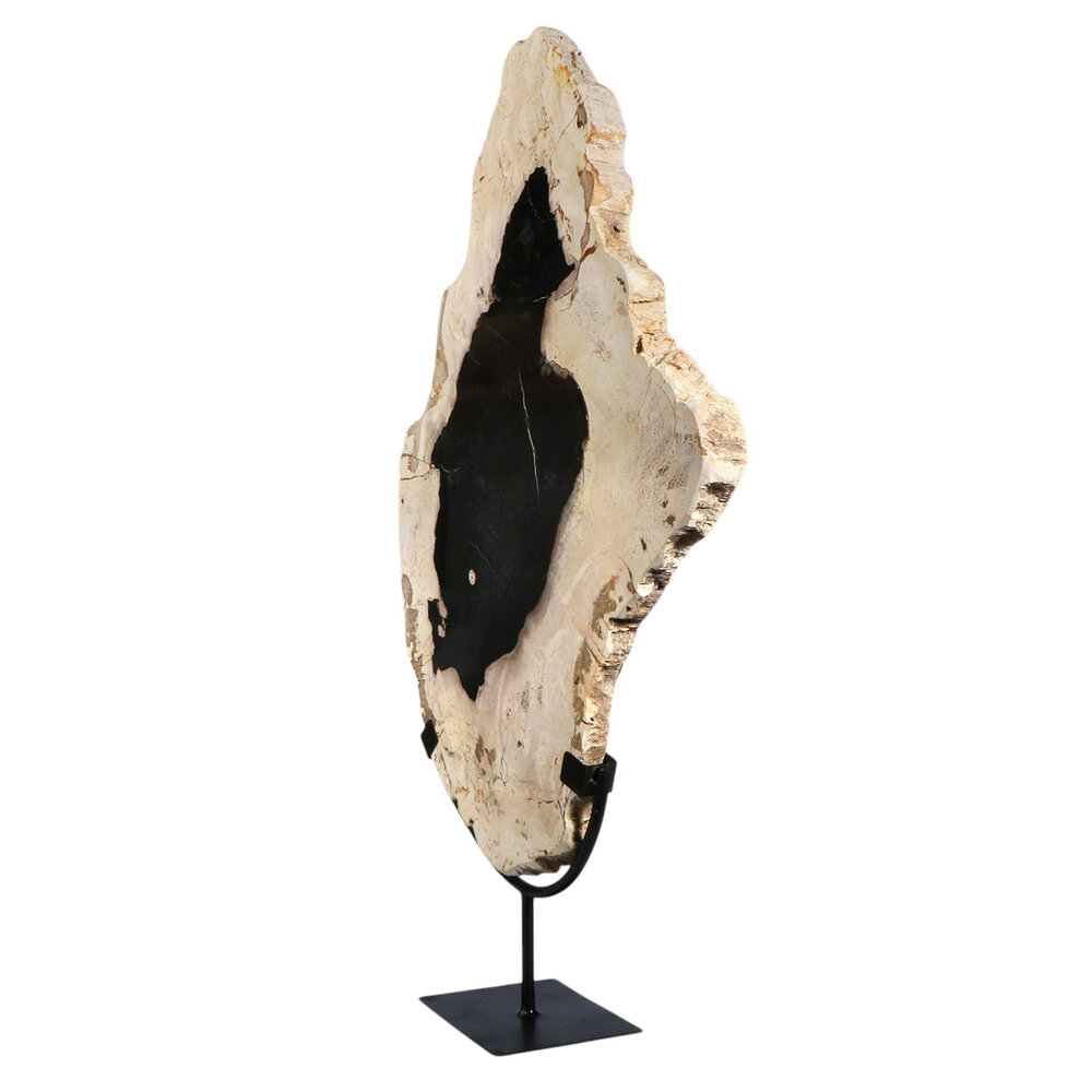 Versteend hout schijf gepolijst op standaard 50 x 38,6 x 2,2 cm | 5,55 kg