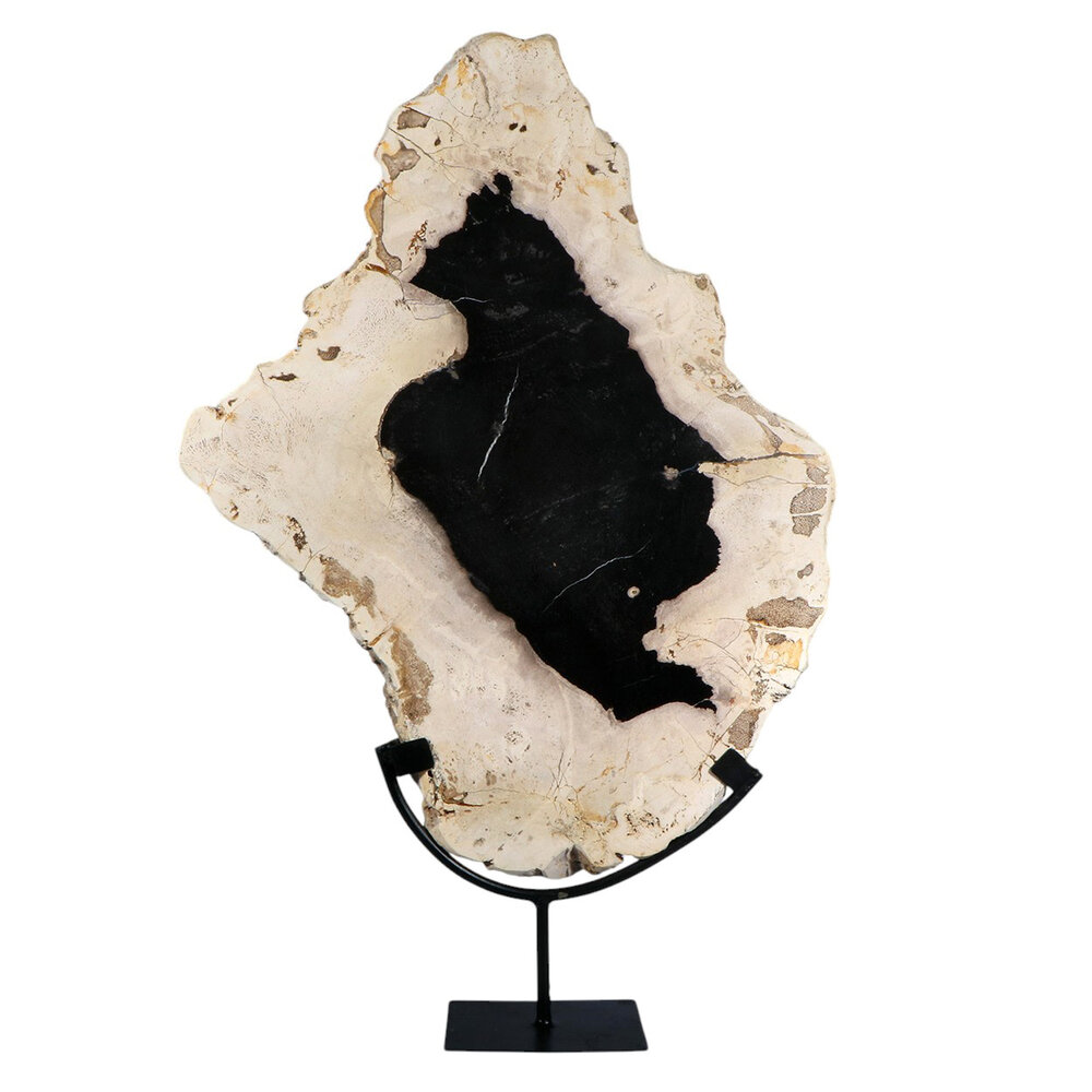 Versteend hout schijf gepolijst op standaard 50 x 38,6 x 2,2 cm | 5,55 kg
