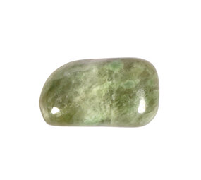 Jade (jadeiet) steen getrommeld | middel (M) Jade (jadeiet) steen getrommeld | middel (M)