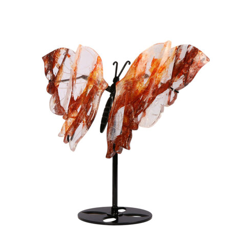 Red healer vlinder op standaard 30 x 16 x 0,7 cm | 668 gram