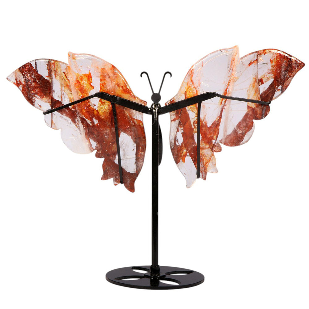 Red healer vlinder op standaard 30 x 16 x 0,7 cm | 668 gram
