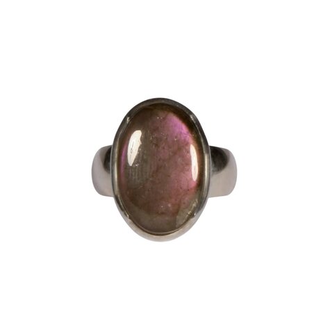 Zilveren ring labradoriet (paars) maat 17 | ovaal 1,8 x 1,2 cm Zilveren ring labradoriet (paars) maat 17 | ovaal 1,8 x 1,2 cm