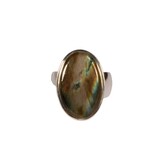 Zilveren ring labradoriet maat 16 1/2 | ovaal 2 x 1,3 cm Zilveren ring labradoriet maat 16 1/2 | ovaal 2 x 1,3 cm