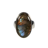 Zilveren ring labradoriet maat 18 1/2 | ovaal 2,4 x 1,4 cm