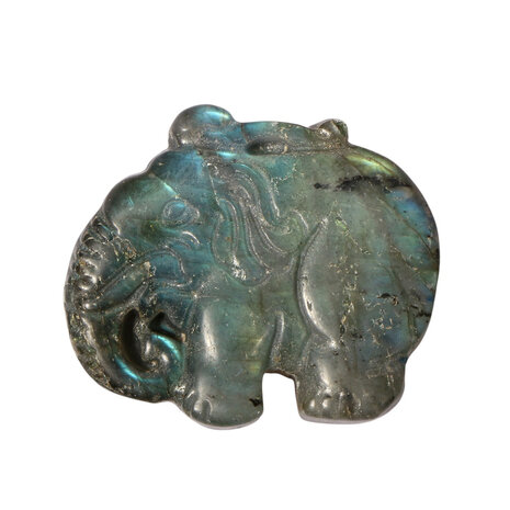 Labradoriet olifant | 3,1 x 2,6 x 1 cm Labradoriet olifant | 3,1 x 2,6 x 1 cm