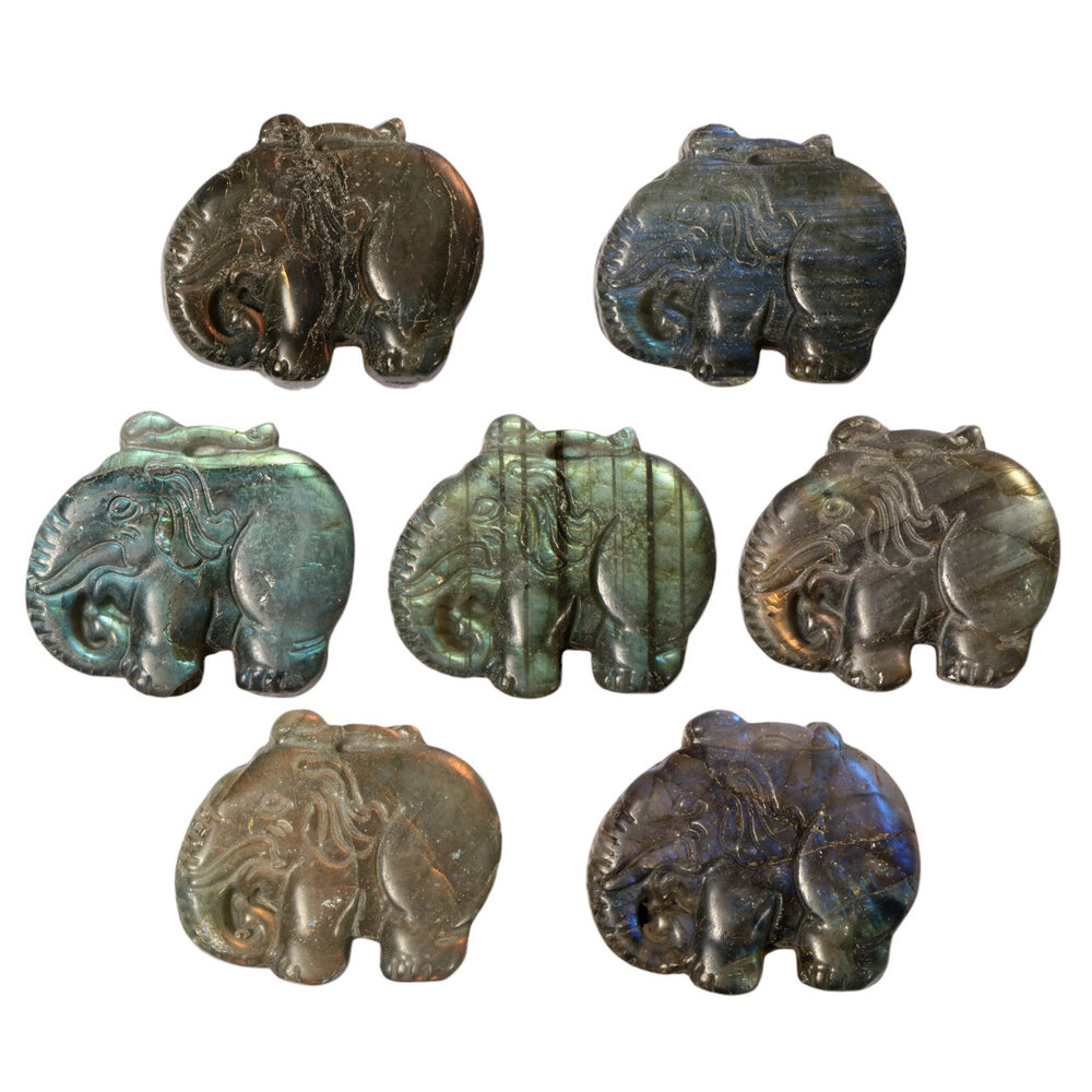 Labradoriet olifant | 3,1 x 2,6 x 1 cm Labradoriet olifant | 3,1 x 2,6 x 1 cm