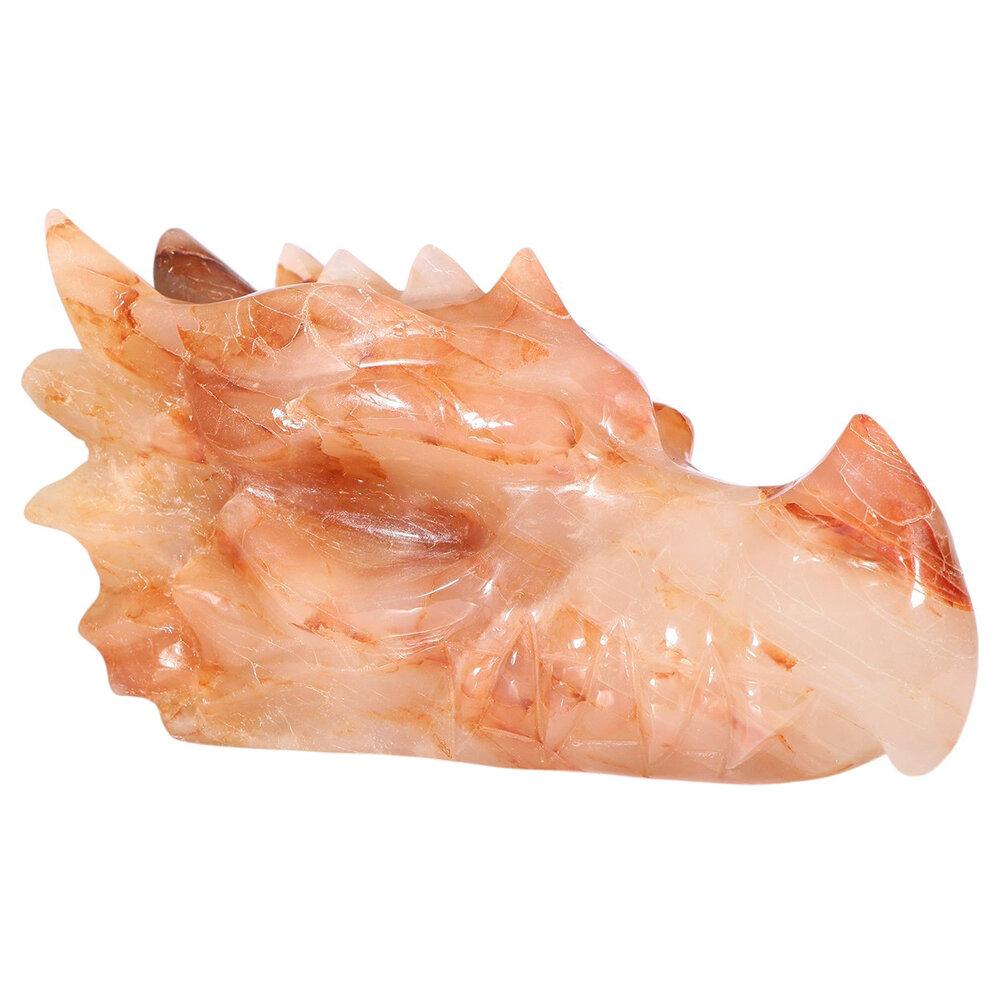 Golden met red healer draken schedel 32 x 14 x 18 cm | 8200 gram Golden met red healer draken schedel 32 x 14 x 18 cm | 8200 gram
