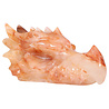 Golden met red healer draken schedel 32 x 14 x 18 cm | 8200 gram Golden met red healer draken schedel 32 x 14 x 18 cm | 8200 gram