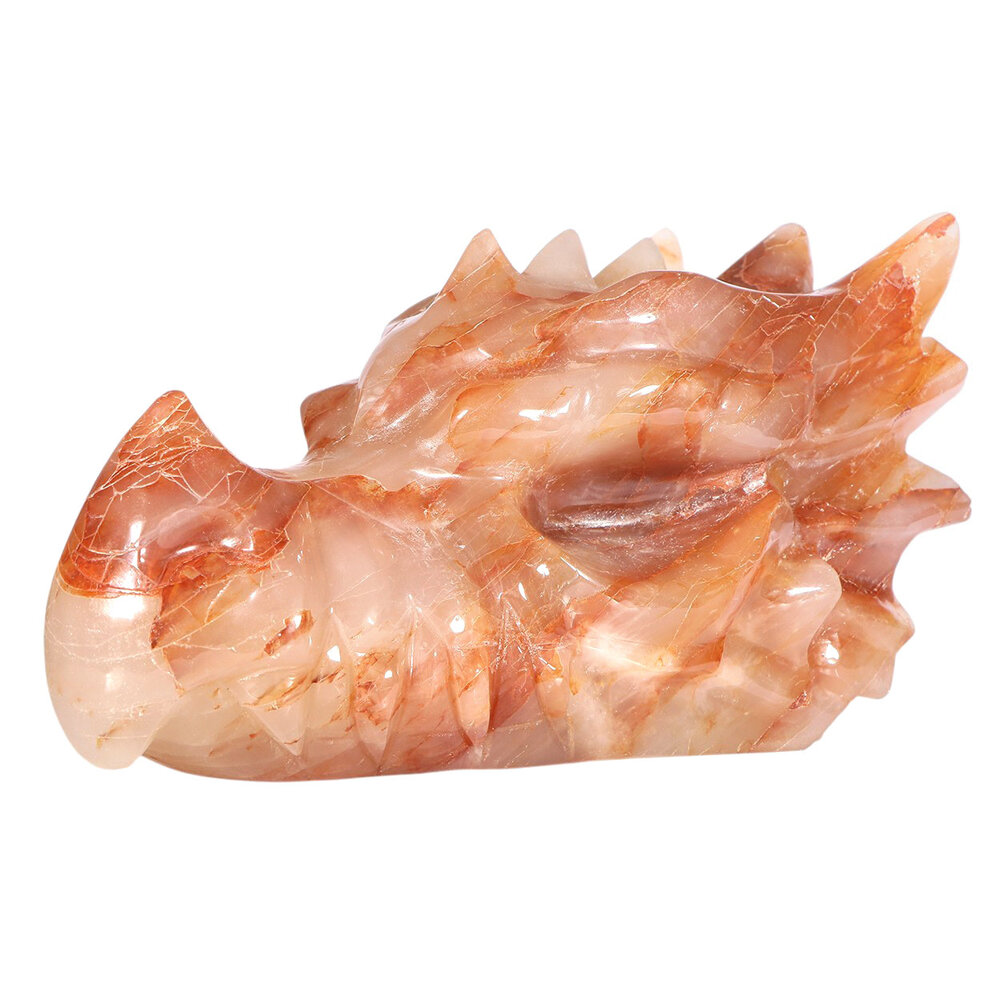 Golden met red healer draken schedel 32 x 14 x 18 cm | 8200 gram Golden met red healer draken schedel 32 x 14 x 18 cm | 8200 gram