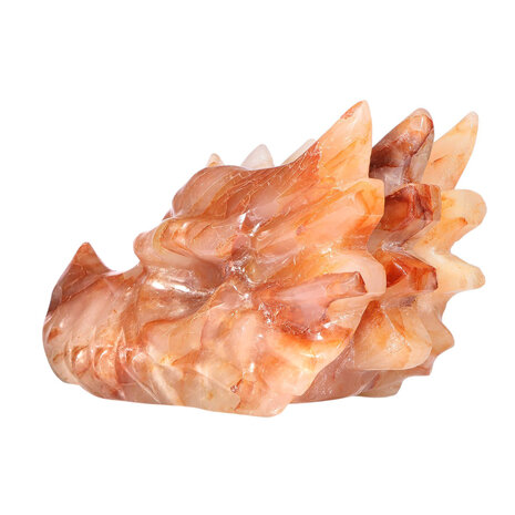 Golden met red healer draken schedel 32 x 14 x 18 cm | 8200 gram Golden met red healer draken schedel 32 x 14 x 18 cm | 8200 gram