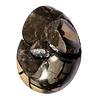 Septarie edelsteen ei A-kwaliteit 20,5 x 16 cm | 5820 gram Septarie edelsteen ei A-kwaliteit 20,5 x 16 cm | 5820 gram