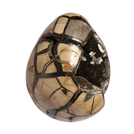 Septarie edelsteen ei A-kwaliteit met deksel 11,4 x 9,6 cm | 1539 gram Septarie edelsteen ei A-kwaliteit met deksel 11,4 x 9,6 cm | 1539 gram