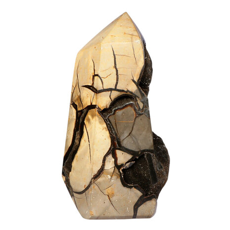 Septarie edelsteen A-kwaliteit punt 20,6 x 11,2 x 9 cm | 3405 gram