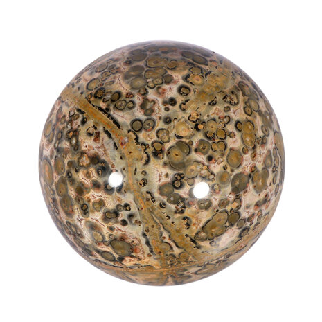 Jaspis (luipaard) bol 60 - 65 mm Jaspis (luipaard) bol 60 - 65 mm