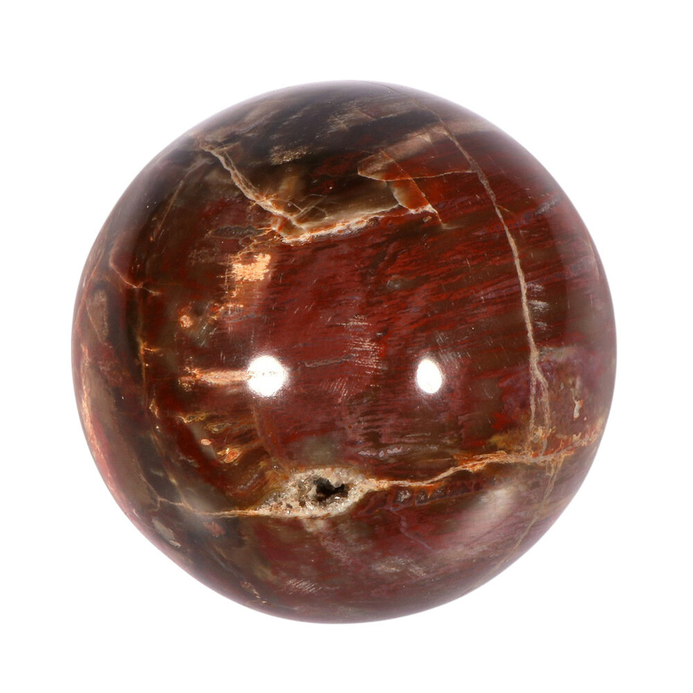 Versteend hout bol 70 mm | 489 gram