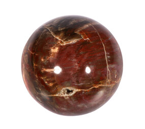 Versteend hout bol 70 mm | 489 gram