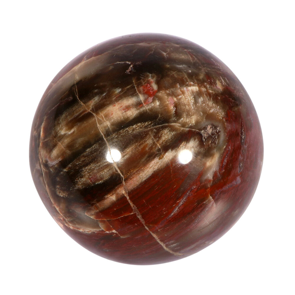 Versteend hout bol 70 mm | 489 gram