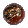 Versteend hout bol 70 mm | 489 gram
