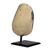 Amethist cluster op standaard 13,1 x 9,4 x 9,7 cm | 2192 gram Amethist cluster op standaard 13,1 x 9,4 x 9,7 cm | 2192 gram