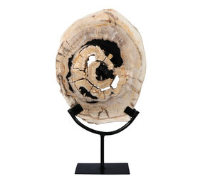 Versteend hout schijf gepolijst op standaard 25,7 x 20,1 x 2,4 cm | 1,95 kg Versteend hout schijf gepolijst op standaard 25,7 x 20,1 x 2,4 cm | 1,95 kg