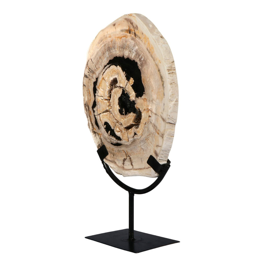 Versteend hout schijf gepolijst op standaard 25,7 x 20,1 x 2,4 cm | 1,95 kg Versteend hout schijf gepolijst op standaard 25,7 x 20,1 x 2,4 cm | 1,95 kg