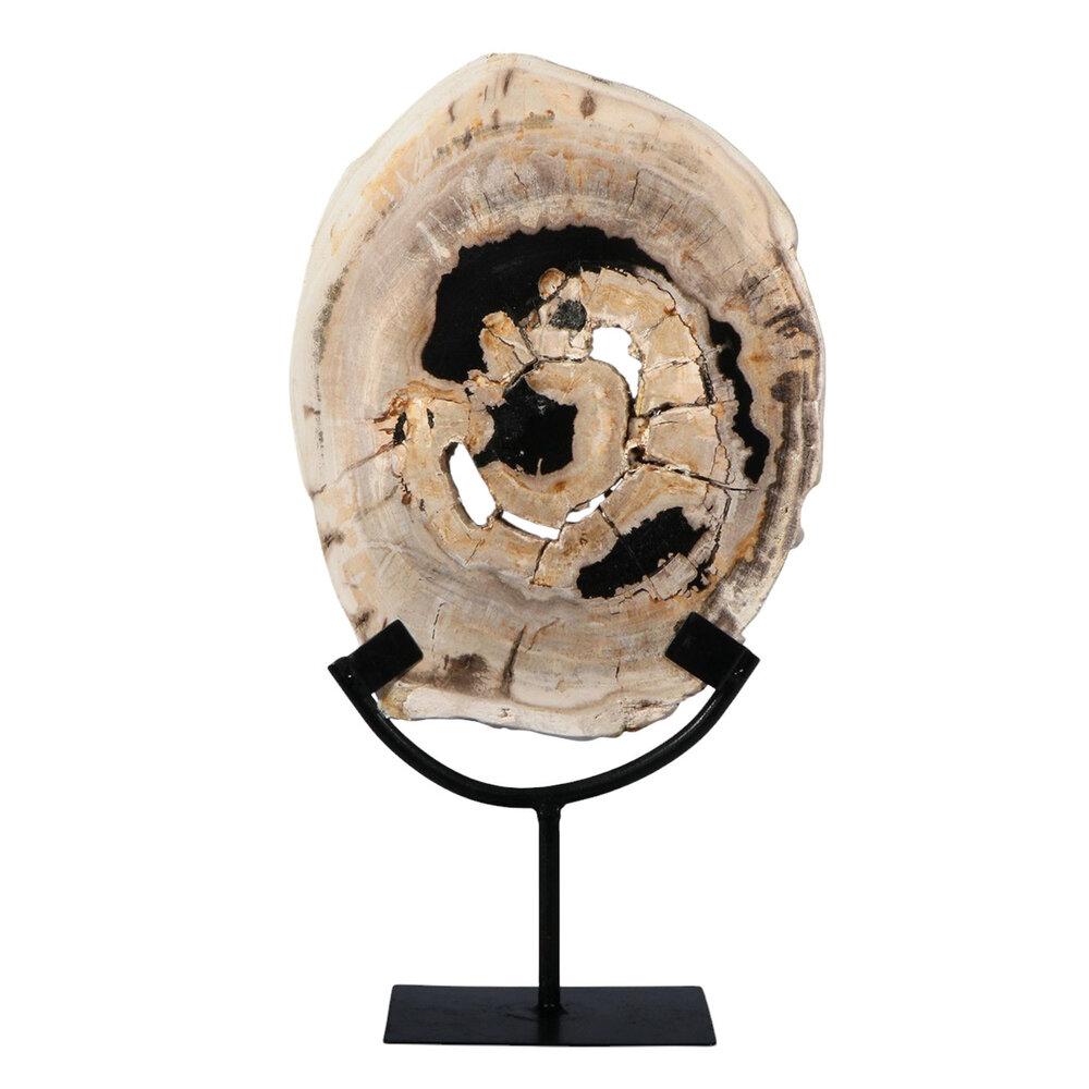 Versteend hout schijf gepolijst op standaard 25,7 x 20,1 x 2,4 cm | 1,95 kg Versteend hout schijf gepolijst op standaard 25,7 x 20,1 x 2,4 cm | 1,95 kg