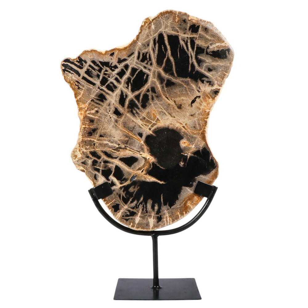 Versteend hout schijf gepolijst op standaard 30,5 x 24,1 x 2,2 cm | 2,45 kg Versteend hout schijf gepolijst op standaard 30,5 x 24,1 x 2,2 cm | 2,45 kg