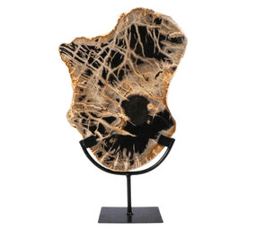 Versteend hout schijf gepolijst op standaard 30,5 x 24,1 x 2,2 cm | 2,45 kg Versteend hout schijf gepolijst op standaard 30,5 x 24,1 x 2,2 cm | 2,45 kg