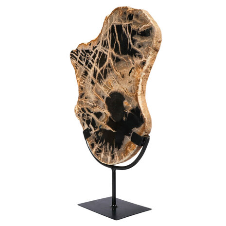Versteend hout schijf gepolijst op standaard 30,5 x 24,1 x 2,2 cm | 2,45 kg Versteend hout schijf gepolijst op standaard 30,5 x 24,1 x 2,2 cm | 2,45 kg