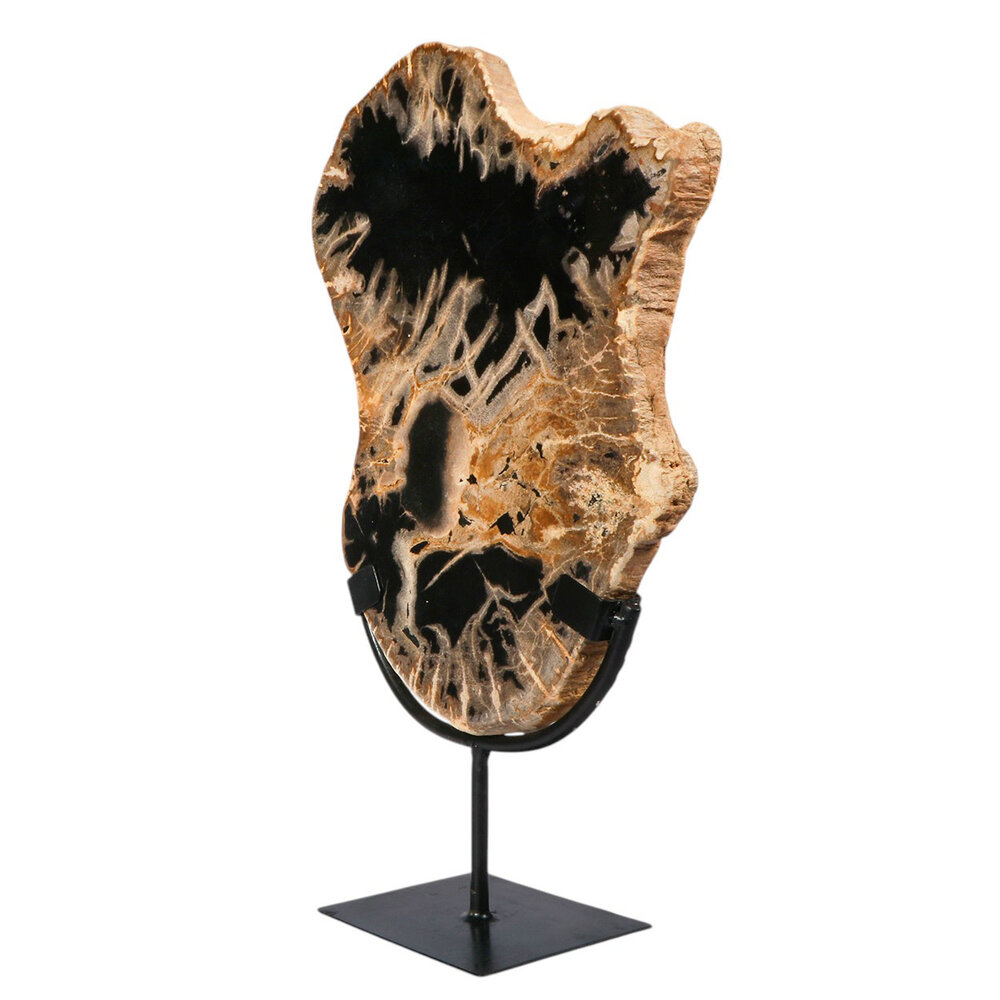 Versteend hout schijf gepolijst op standaard 30,5 x 24,1 x 2,2 cm | 2,45 kg Versteend hout schijf gepolijst op standaard 30,5 x 24,1 x 2,2 cm | 2,45 kg