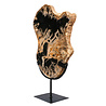 Versteend hout schijf gepolijst op standaard 30,5 x 24,1 x 2,2 cm | 2,45 kg Versteend hout schijf gepolijst op standaard 30,5 x 24,1 x 2,2 cm | 2,45 kg
