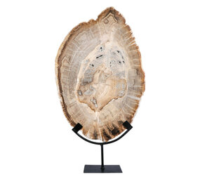 Versteend hout schijf gepolijst op standaard 44,1 x 29 x 2,2 cm | 4,4 kg