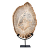 Versteend hout schijf gepolijst op standaard 44,1 x 29 x 2,2 cm | 4,4 kg