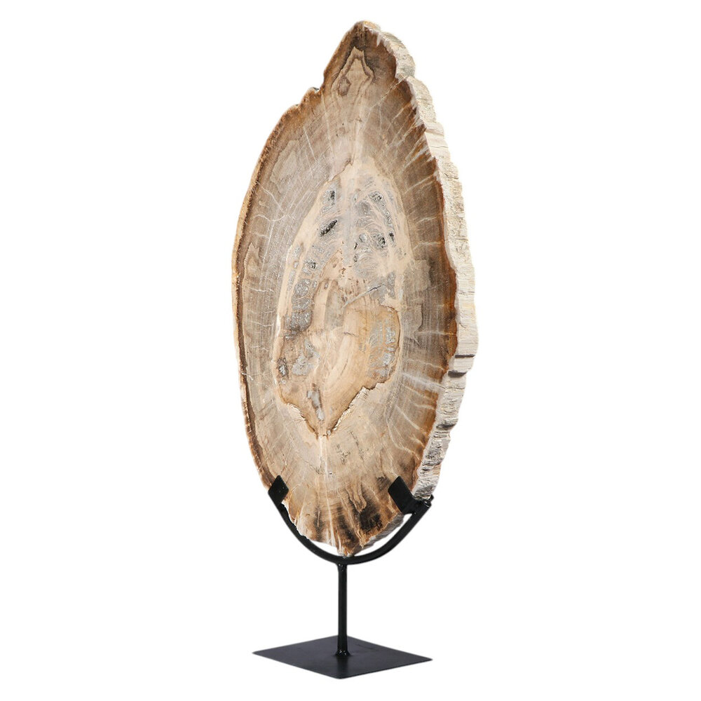 Versteend hout schijf gepolijst op standaard 44,1 x 29 x 2,2 cm | 4,4 kg