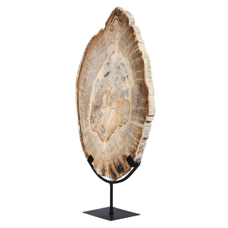 Versteend hout schijf gepolijst op standaard 44,1 x 29 x 2,2 cm | 4,4 kg