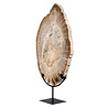 Versteend hout schijf gepolijst op standaard 44,1 x 29 x 2,2 cm | 4,4 kg
