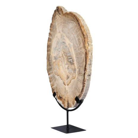 Versteend hout schijf gepolijst op standaard 44,1 x 29 x 2,2 cm | 4,4 kg