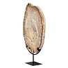 Versteend hout schijf gepolijst op standaard 44,1 x 29 x 2,2 cm | 4,4 kg