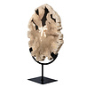 Versteend hout schijf gepolijst op standaard 27,5 x 23,8 x 2,5 cm | 2,6 kg Versteend hout schijf gepolijst op standaard 27,5 x 23,8 x 2,5 cm | 2,6 kg