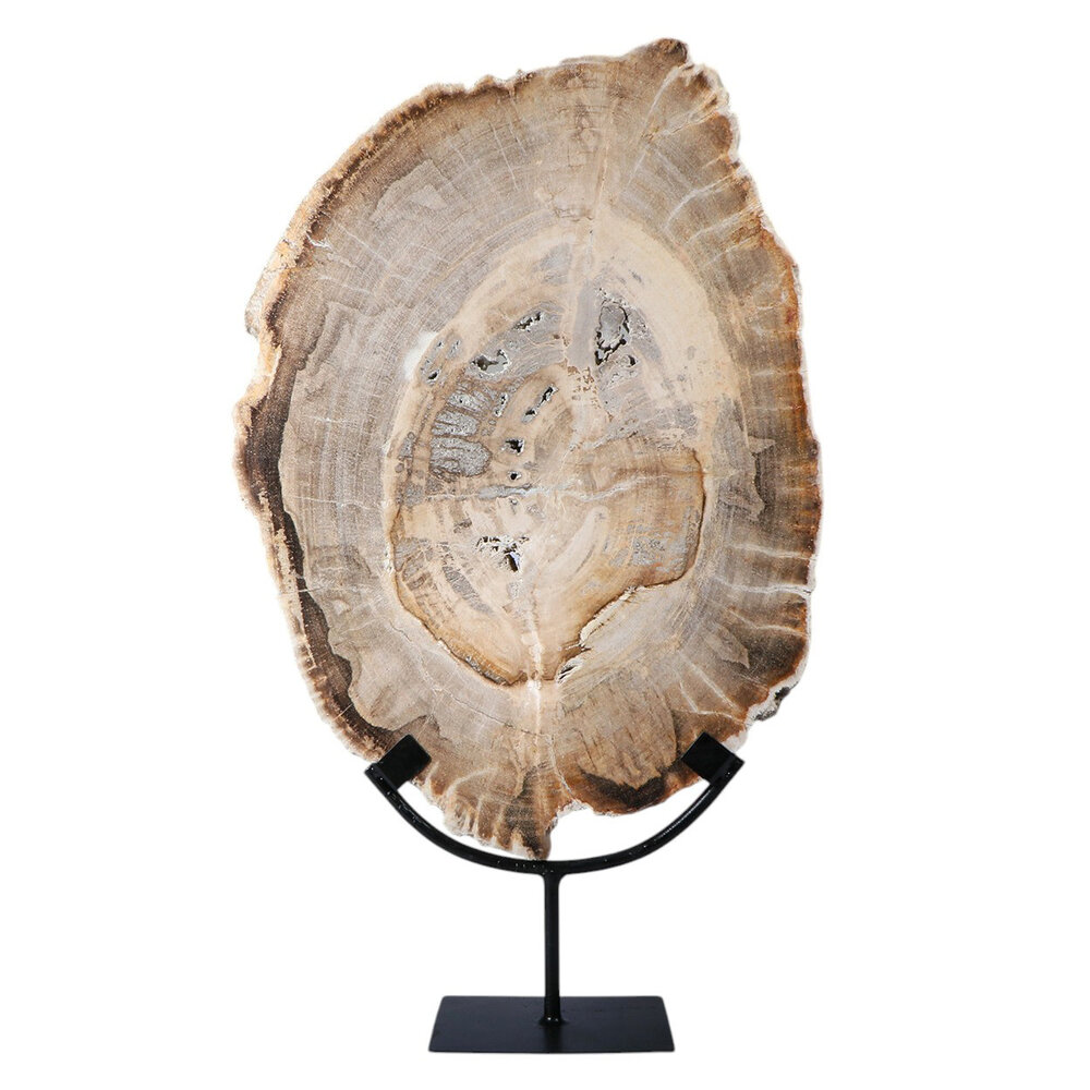 Versteend hout schijf gepolijst op standaard 40,7 x 29,6 x 2,3 cm | 4,4 kg Versteend hout schijf gepolijst op standaard 40,7 x 29,6 x 2,3 cm | 4,4 kg
