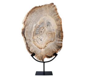 Versteend hout schijf gepolijst op standaard 40,7 x 29,6 x 2,3 cm | 4,4 kg Versteend hout schijf gepolijst op standaard 40,7 x 29,6 x 2,3 cm | 4,4 kg