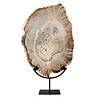 Versteend hout schijf gepolijst op standaard 40,7 x 29,6 x 2,3 cm | 4,4 kg Versteend hout schijf gepolijst op standaard 40,7 x 29,6 x 2,3 cm | 4,4 kg