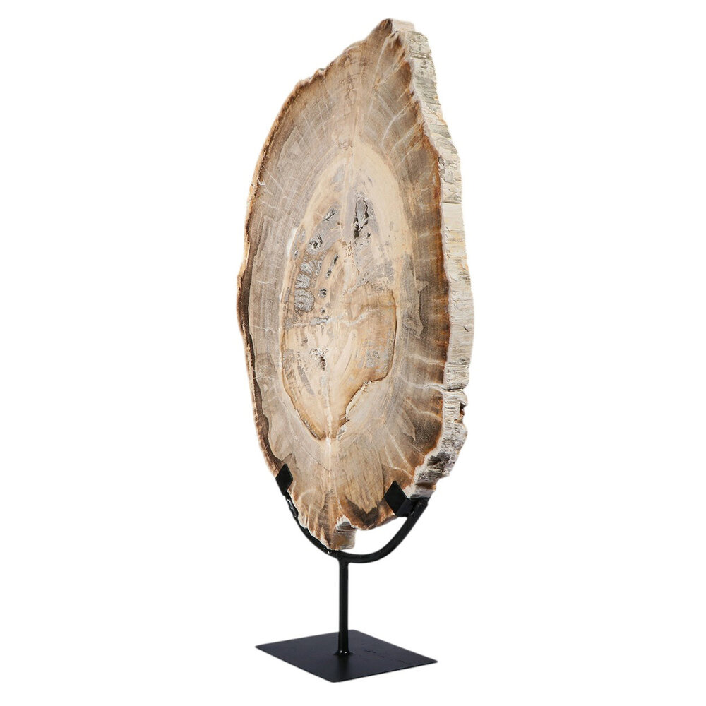 Versteend hout schijf gepolijst op standaard 40,7 x 29,6 x 2,3 cm | 4,4 kg Versteend hout schijf gepolijst op standaard 40,7 x 29,6 x 2,3 cm | 4,4 kg