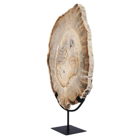 Versteend hout schijf gepolijst op standaard 40,7 x 29,6 x 2,3 cm | 4,4 kg Versteend hout schijf gepolijst op standaard 40,7 x 29,6 x 2,3 cm | 4,4 kg