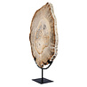 Versteend hout schijf gepolijst op standaard 40,7 x 29,6 x 2,3 cm | 4,4 kg Versteend hout schijf gepolijst op standaard 40,7 x 29,6 x 2,3 cm | 4,4 kg
