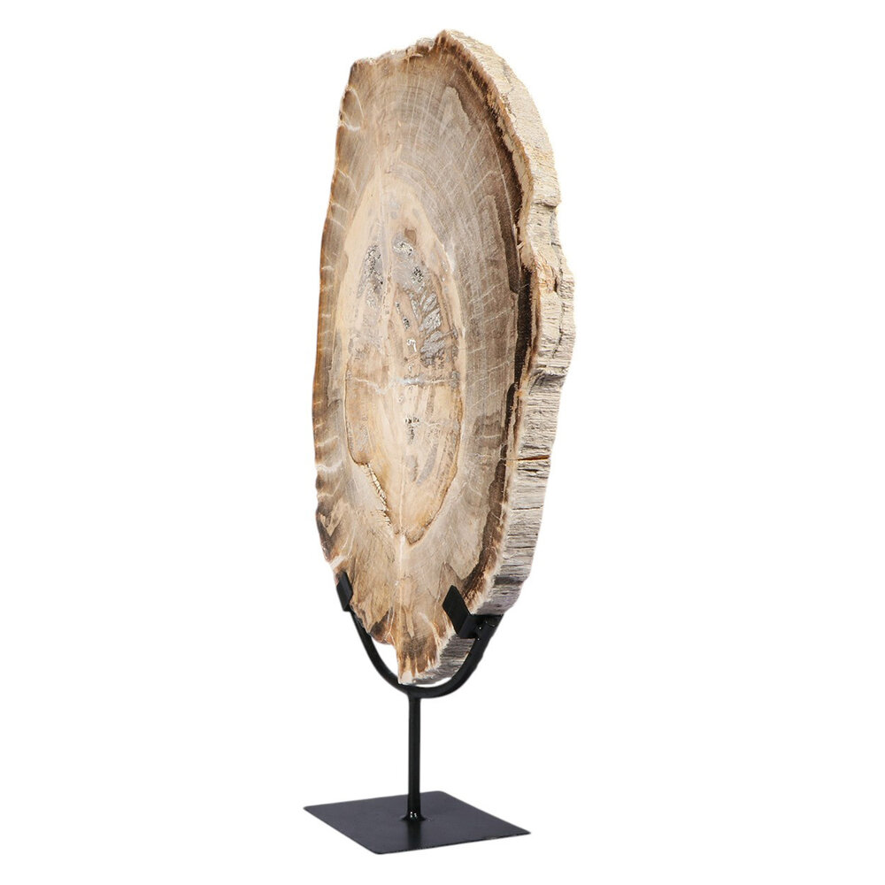 Versteend hout schijf gepolijst op standaard 40,7 x 29,6 x 2,3 cm | 4,4 kg Versteend hout schijf gepolijst op standaard 40,7 x 29,6 x 2,3 cm | 4,4 kg